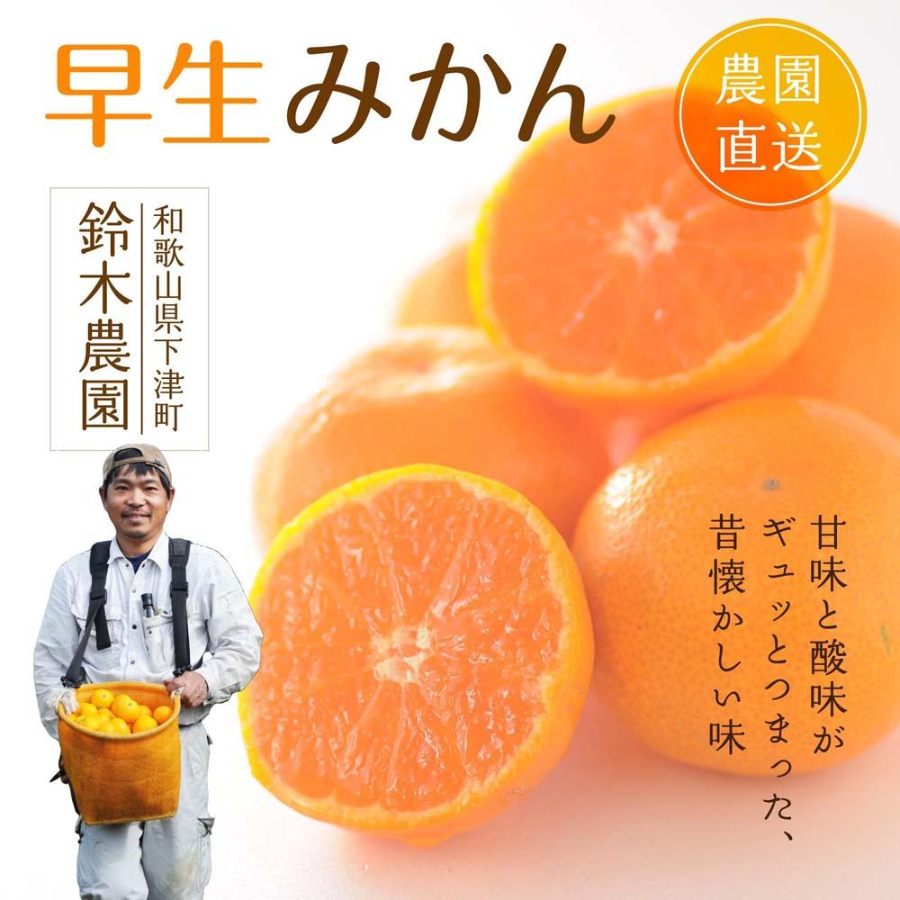 温州みかん 5kg S・M・Lサイズのいずれか【和歌山のみかん】11月～1月に和歌山県 海南市 鈴木農園より農園直送 温州ミカン 温州 下津みかん しもつみかん ミカン 蜜柑 mikan Sサイズ Mサイズ