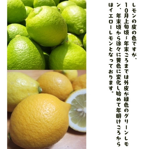 ［先行予約］紀州和歌山 ご家庭用 有田 レモン 1kg［MS150］