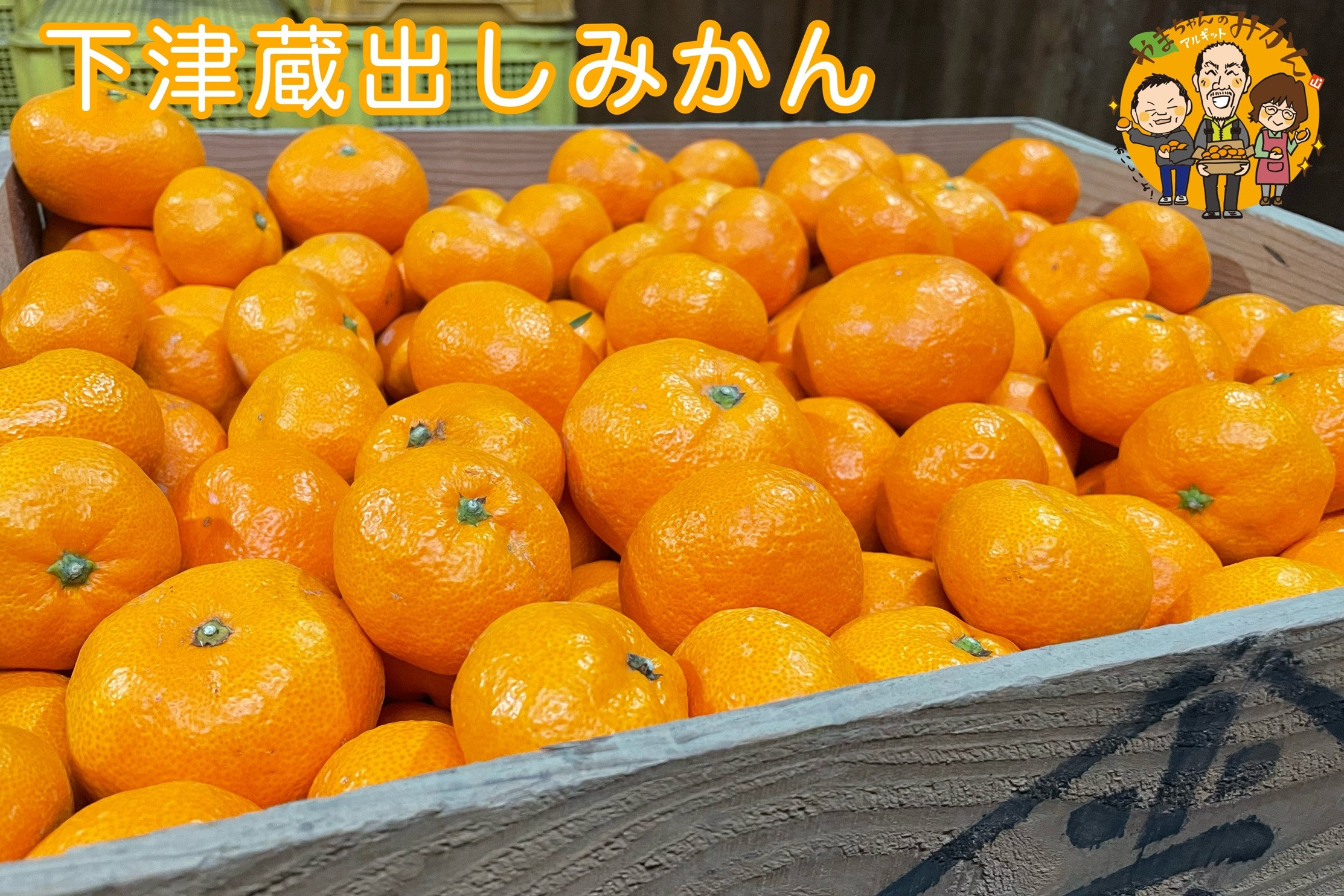 下津蔵出しみかん 約5kg SS～Lサイズいずれか 山下農園