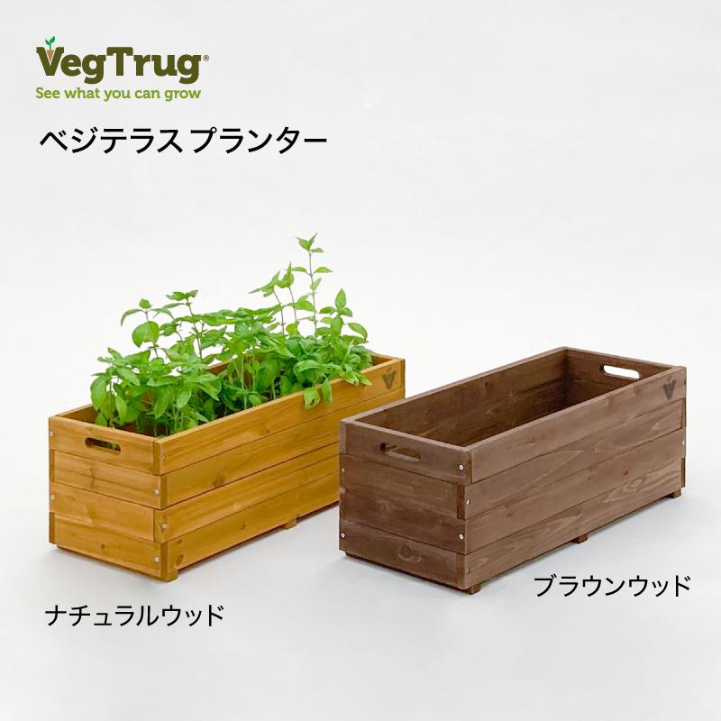 58391100 繝吶ず繝繝ゥ繧ケ繝励Λ繝ウ繧ソ繝シ 繝悶Λ繧ヲ繝ウ繧ヲ繝繝