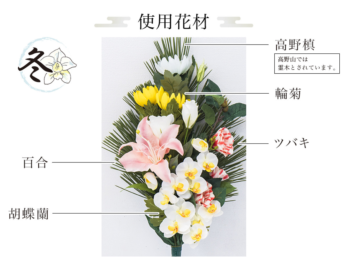 å¬ïŒœä»è±å¢çšãã©ãã¯ã¹ 2æã»ãã SNG102269115