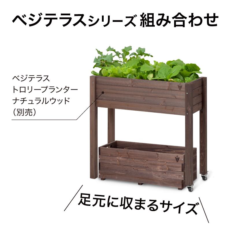 58391100 繝吶ず繝繝ゥ繧ケ繝励Λ繝ウ繧ソ繝シ 繝悶Λ繧ヲ繝ウ繧ヲ繝繝