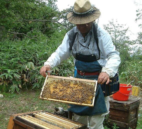 辭企主商驕 蟲縺ョ陷り惧2譛ャ繧サ繝繝医心W98縲