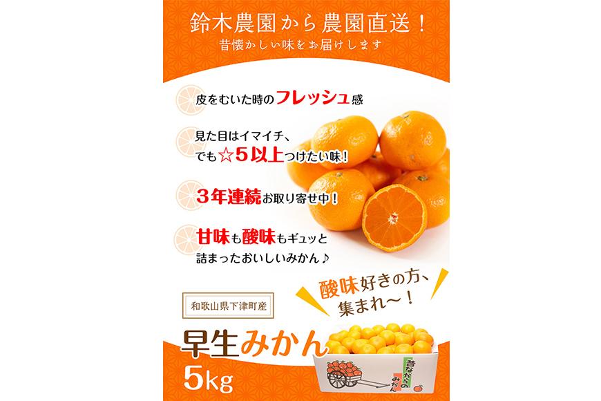 訳あり みかん 早生みかん 5kg 混合サイズ 和歌山県海南市鈴木農園より直送 みかん ミカン 蜜柑 mikan 温州みかん 海南みかん 下津みかん しもつみかん 温州みかん 訳アリ 訳あり品 訳有り わけありみかん
