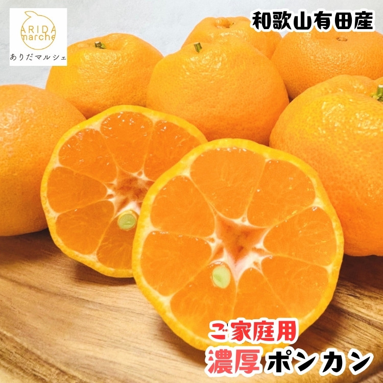 ［先行予約］極甘 柑橘 有田育ちの 濃厚 ポンカン（ご家庭用）1.5kg［MS118］