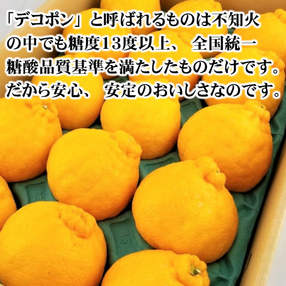 シサ蜈郁。御コ育エシスシサ遘蜩シス蜥梧ュ悟アア譛臥伐縺ョ繝繧ウ繝昴Φシ∫エ2.5kgシサ2027蟷エ1譛井ク区流莉・髯埼谺。逋コ騾シスシサNGT15シス