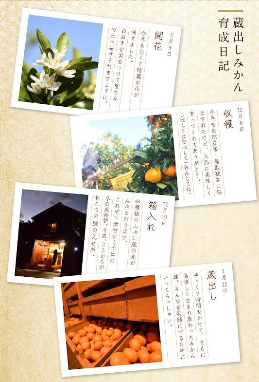 みかん 約5kg SMLサイズ 《赤秀》【下津の蔵出しみかん】和歌山県産 農園直送 まごころ産直みかん 【北海道・沖縄県・一部離島 配送不可】 Sサイズ Mサイズ Lサイズ S M L S M l ミカン 蜜柑 Mikan 温州みかん 温州ミカン わけあり 訳アリ 下津みかん しもつみかん 蔵出し 贈答 ギフト