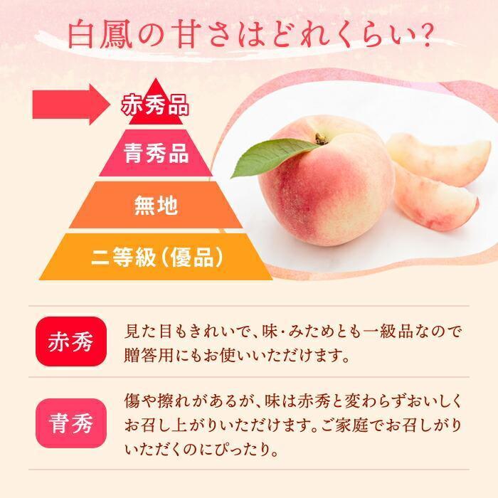 和歌山県産 白鳳 桃 5～8玉入り 秀品 先行予約［2026年6月下旬以降発送］［MG6］