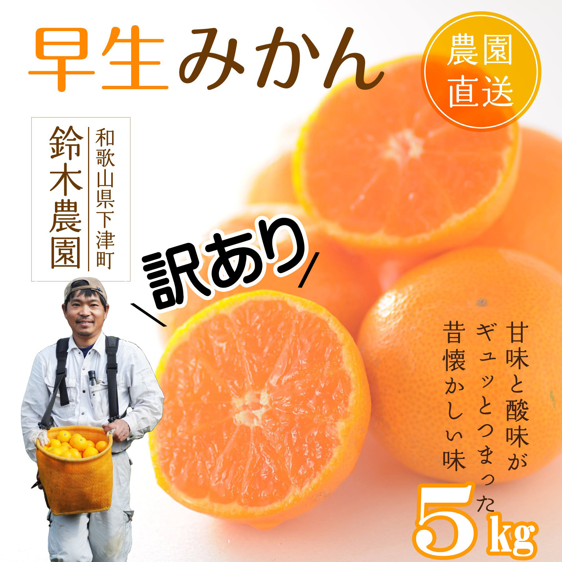 ［みかん定期便］みかん 5kg 4回定期便 家庭用 和歌山県産みかん海南市下津みかん 早生みかん 蔵出しみかん 鈴木農園 ミカン 蜜柑 mikan 温州みかん 和歌山みかん 海南みかん しもつみかん 昔ながらのみかん 訳あり わけあり ワケアリ 訳アリ 訳有り 定期便 柑橘定期便 フルーツ定期便 果物定期便