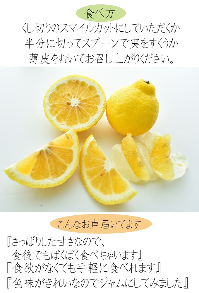 はるかみかん 約6kg 大小混合 《ご家庭用》 ちょっと訳あり 和歌山県産 農園直送 まごころ産直みかん 【北海道・沖縄県・一部離島 配送不可】果物 フルーツ ミカン 蜜柑 わけあり 訳アリ 完熟 ［Mg29］