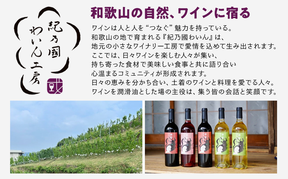 çŽä¹åãããå·¥æ¿ ç¥å®¿ã ãã©ãŠã§ã¢ 2025 750ml