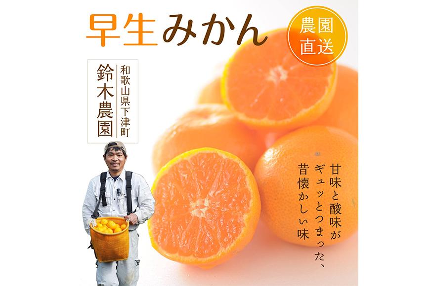 訳あり みかん 早生みかん 5kg 混合サイズ 和歌山県海南市鈴木農園より直送 みかん ミカン 蜜柑 mikan 温州みかん 海南みかん 下津みかん しもつみかん 温州みかん 訳アリ 訳あり品 訳有り わけありみかん