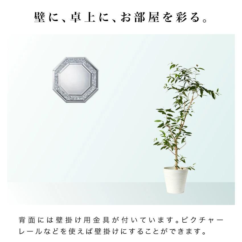 蜈ォ隗 繝溘Λ繝シ 繝繧、繝、 AKU1008761