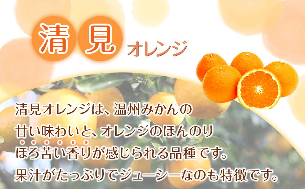 險ウ縺ゅj 譽ョ譛ャ霎イ蝨偵ョ謇矩∈蛻・ 貂隕九が繝ャ繝ウ繧ク 2kg 蜥梧ュ悟アア逵檎肇 繧オ繧、繧コ豺キ蜷 シサ蛹玲オキ驕薙サ豐也ク繝サ髮「蟲カ驟埼∽ク榊庄シスシサ2027蟷エ2譛井ク頑流縺九i鬆谺。逋コ騾∽コ亥ョ夲シスシサRN23シス