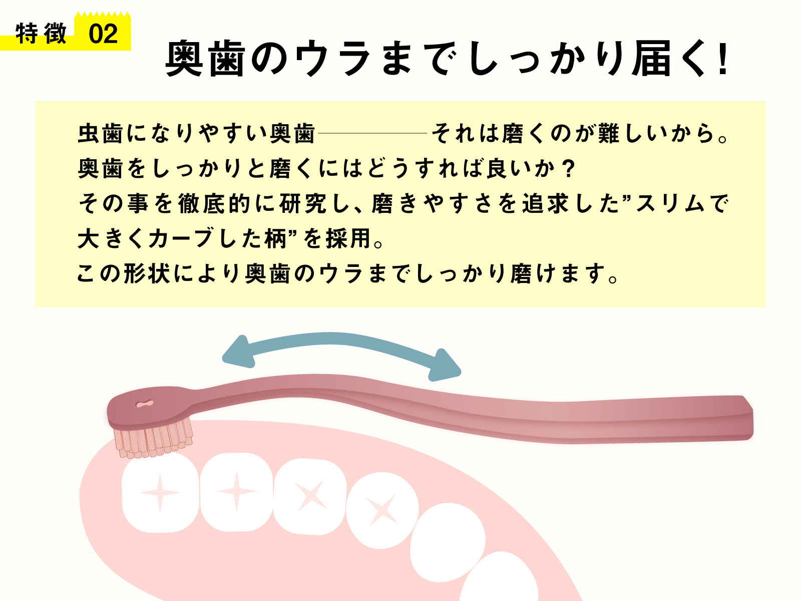 奥歯のウラまでしっかり磨ける 穴の開いた 歯ブラシ 合計12本 （1箱4本入(4色)×3箱 ）