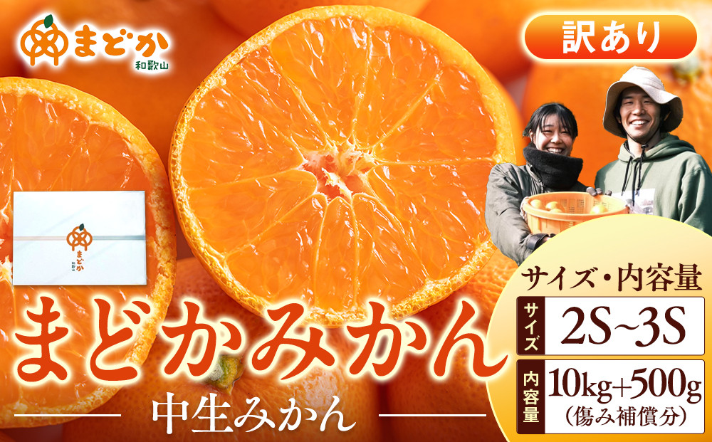 ［先行予約］［訳あり］冬採れみかん（中生みかん）2S〜3Sサイズ混合 10kg＋500g（傷み補償分）［2026年11月下旬より発送］