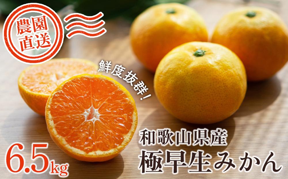みかん 極早生みかん 訳あり 6.5kg 大小混合 まごころ産直みかん【2026年10月中旬頃から11月中旬頃まで順次発送予定】温州みかん 和歌山みかん 下津みかん 訳有り わけあり 和歌山県産 産地直送［Mg2］