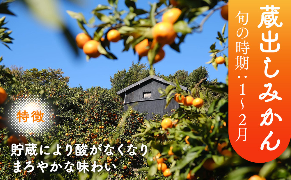 ［先行予約］［贈答用］冬採れみかん（中生みかん）2L〜3Lサイズ混合 10kg＋500g（傷み補償分）［2026年11月下旬より発送］
