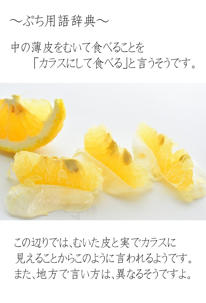 はるかみかん 約6kg 大小混合 《ご家庭用》 ちょっと訳あり 和歌山県産 農園直送 まごころ産直みかん 【北海道・沖縄県・一部離島 配送不可】果物 フルーツ ミカン 蜜柑 わけあり 訳アリ 完熟 ［Mg29］
