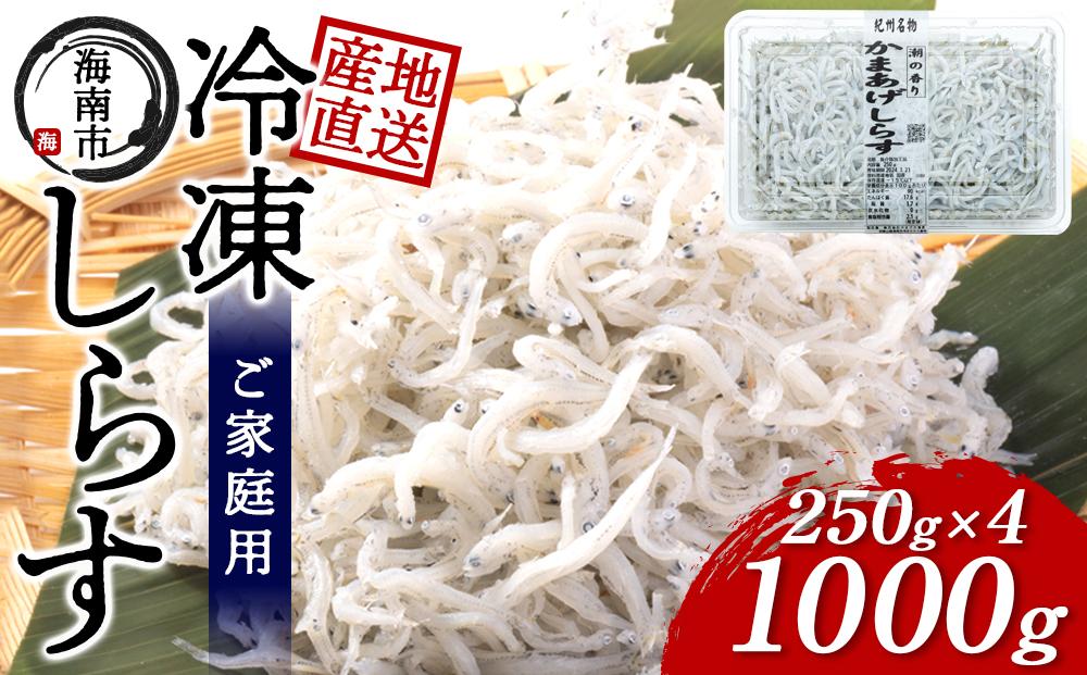 産地直送 ご家庭用 冷凍 しらす 1000g （250g × 4 ）（ 冷凍 ）
