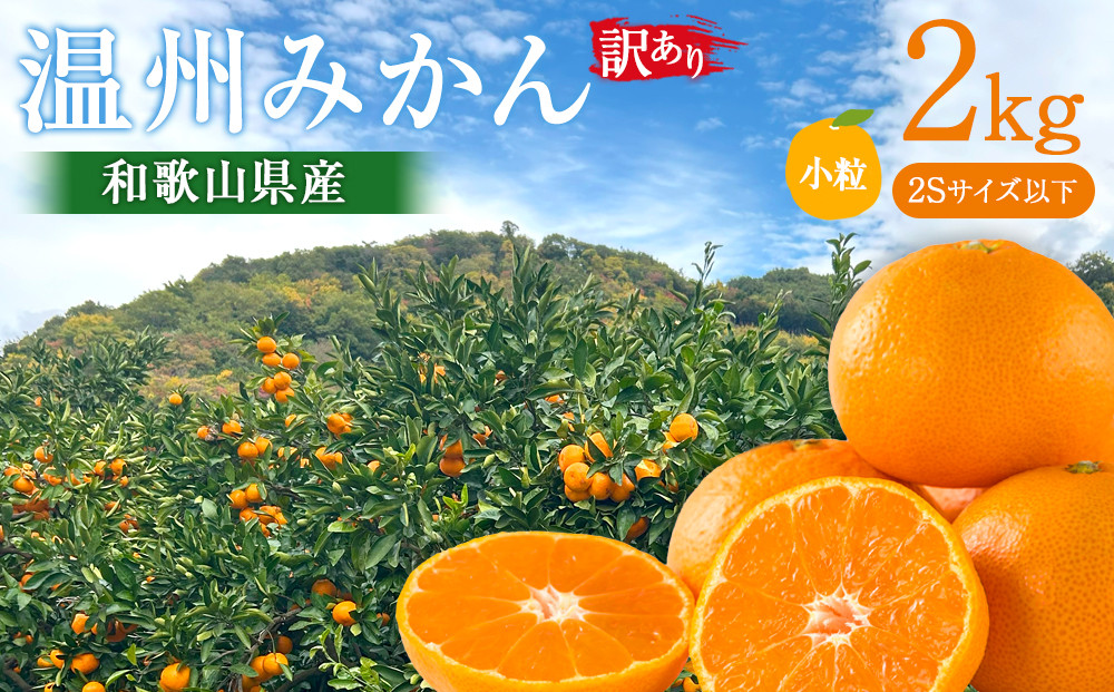訳あり 温州みかん 約2kg 小粒［2026年11月より順次発送予定］