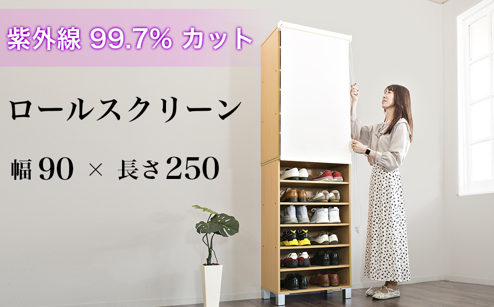 ロールスクリーン（90×250）byt1013354