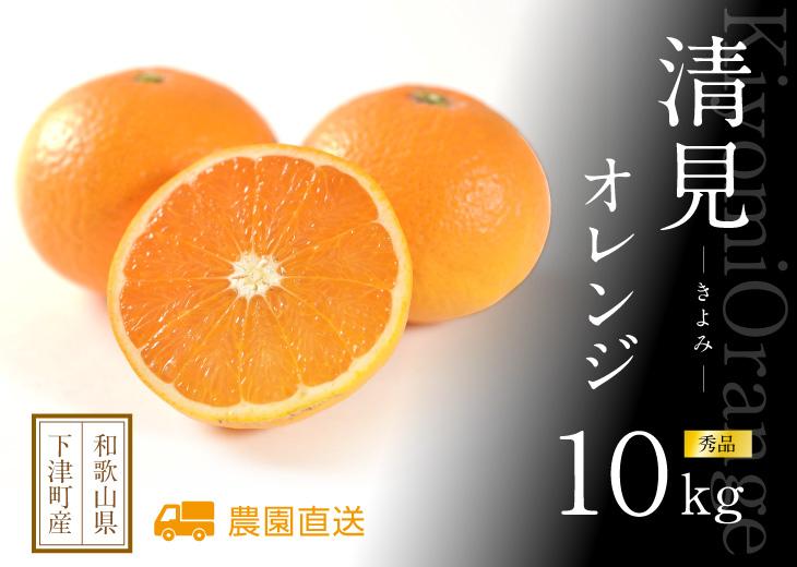 清見オレンジ 約10kg M・L・2L・3Lサイズおまかせ 《赤秀》 和歌山県産 農園直送 まごころ産直みかん 【北海道・沖縄県・一部離島 配送不可】きよみ 清見タンゴール 清美 柑橘 贈答［Mg64］