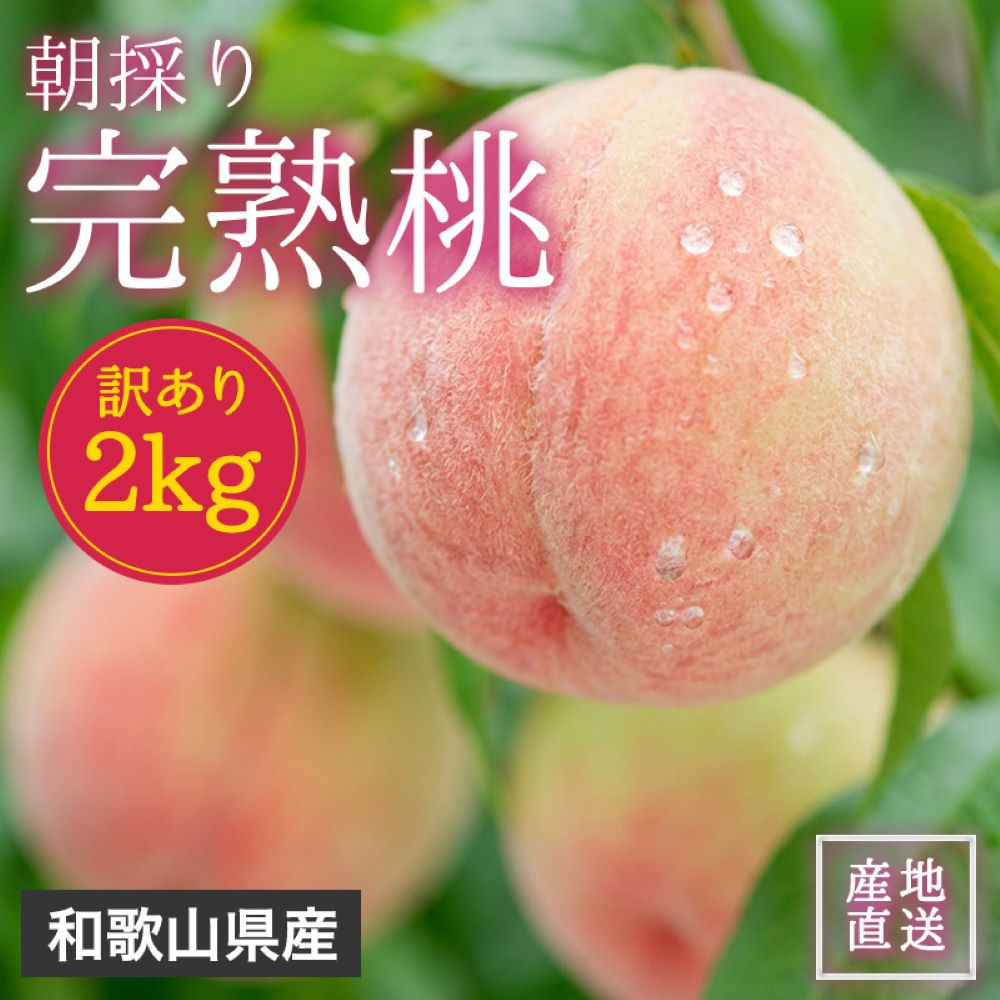 訳あり 森本農園の手選別 桃 2kg