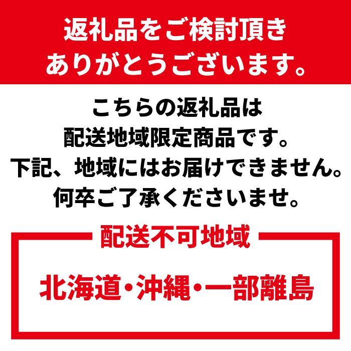 清見オレンジ 約10kg M・L・2L・3Lサイズおまかせ 《赤秀》 和歌山県産 農園直送 まごころ産直みかん 【北海道・沖縄県・一部離島 配送不可】きよみ 清見タンゴール 清美 柑橘 贈答［Mg64］