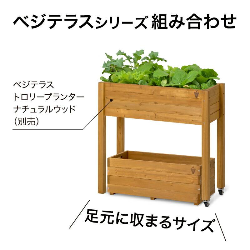 58390400 繝吶ず繝繝ゥ繧ケ繝励Λ繝ウ繧ソ繝シ 繝翫メ繝・繝ゥ繝ォ繧ヲ繝繝