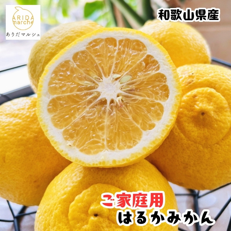 ［先行予約］［人気柑橘］ 有田育ちの はるか みかん（訳あり 家庭用）5kg［MS53］