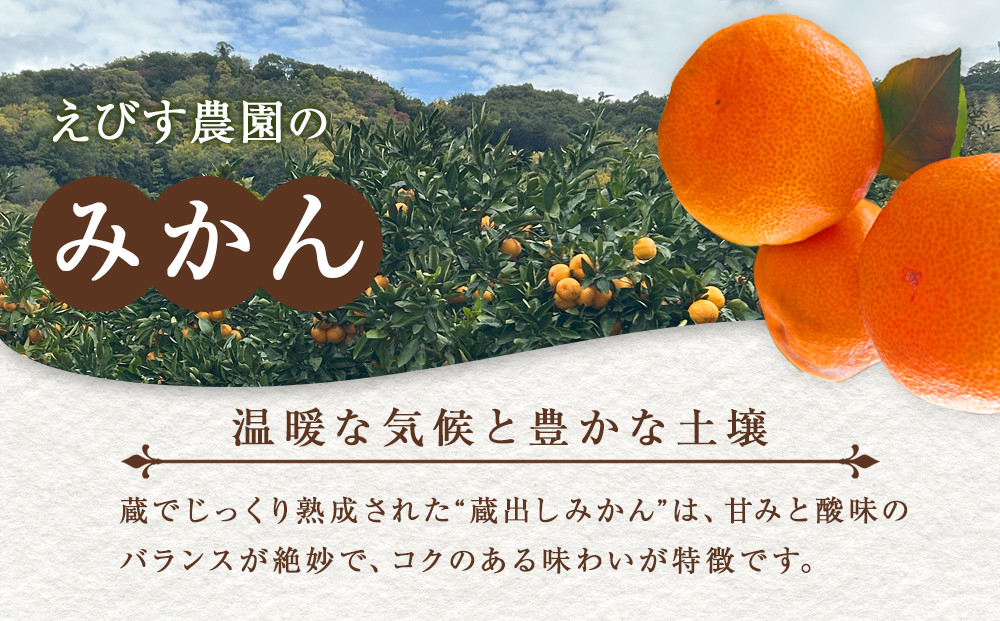 訳あり 蔵出しみかん 約10kg 2S～2Lサイズ混合