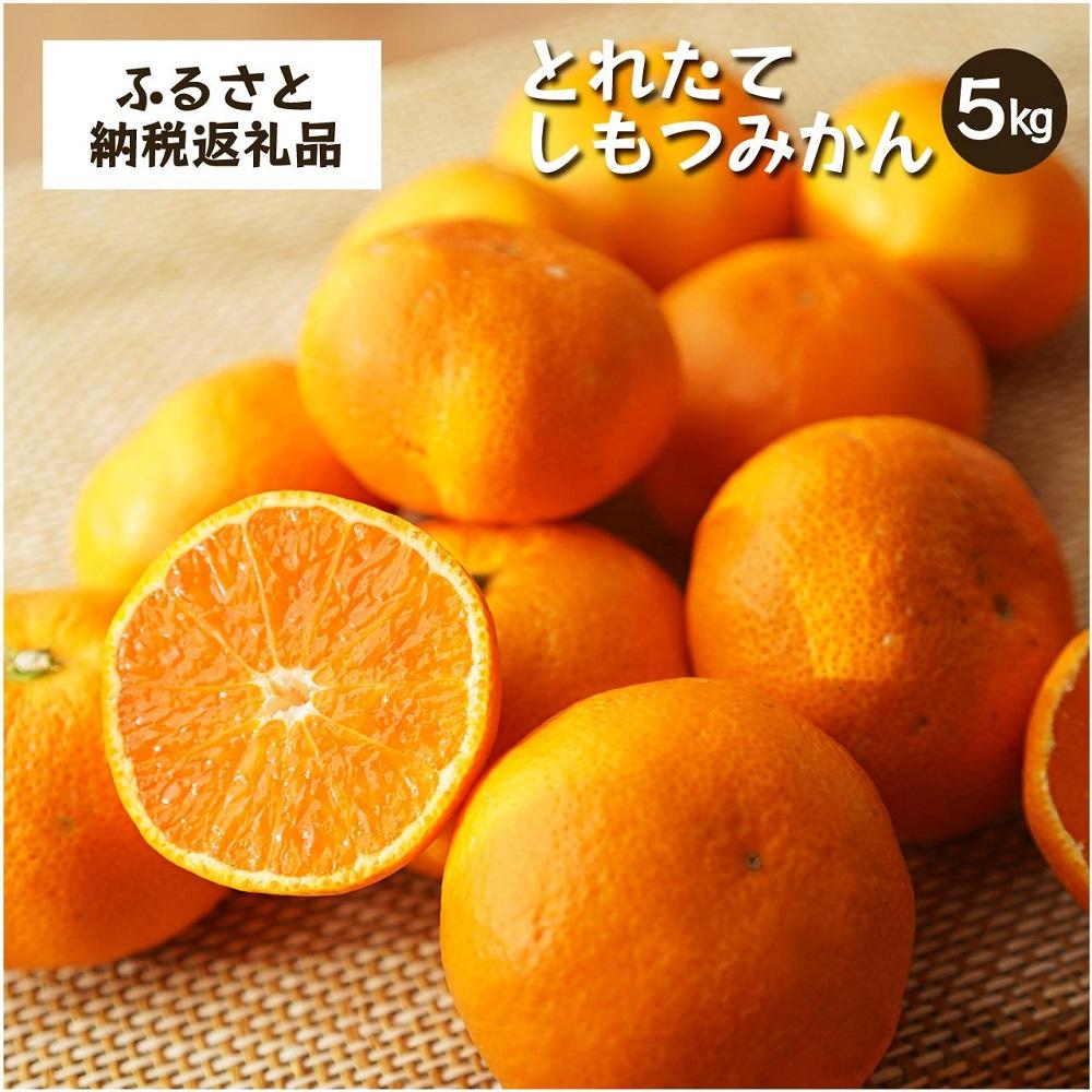 とれたてしもつみかん　5kg家庭用｜和歌山県海南市の下津みかんを産地直送でお届け【2026年11月発送開始】