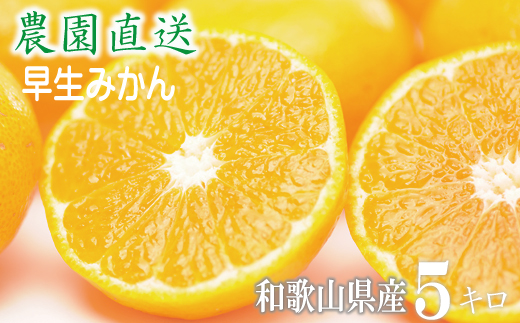 早生みかん 約5kg 大小混合 《ご家庭用》 和歌山県産 農園直送 まごころ産直みかん 【北海道・沖縄県・一部離島 配送不可】ちょっと訳あり ミカン 蜜柑 温州みかん わけあり 訳アリ 和歌山みかん 下津みかん 和歌山ミカン しもつみかん mikan［Mg14］