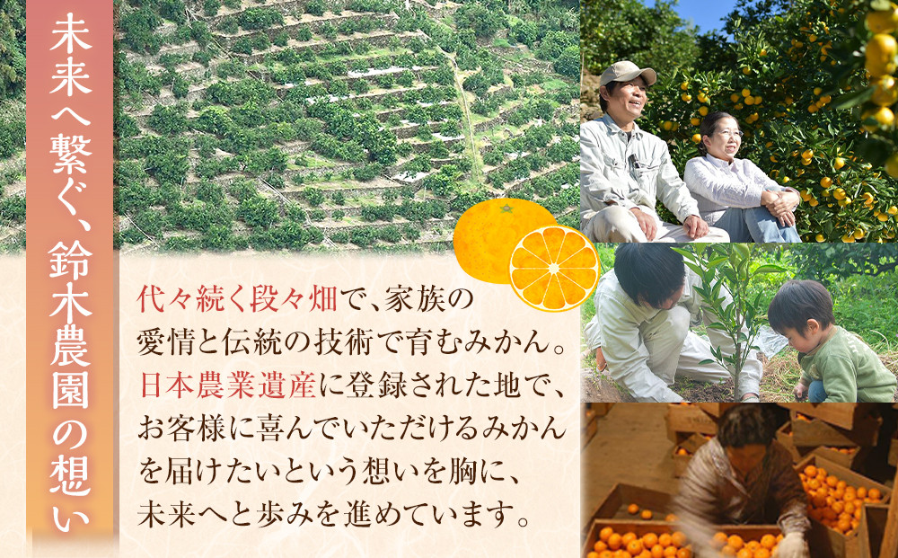 蔵出しみかん6kg《大玉》２L又は３Lサイズ【和歌山県産】昔ながらのみかん鈴木農園より農園直送｜LLサイズ ２Lサイズ 家庭用 大きいサイズ※北海道・沖縄県・一部離島 配送不可