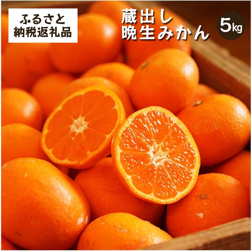 蔵出しみかん晩生　5kg家庭用｜和歌山県海南市下津町の特産品蔵出しみかんの晩生品種【2027年1月発送開始】