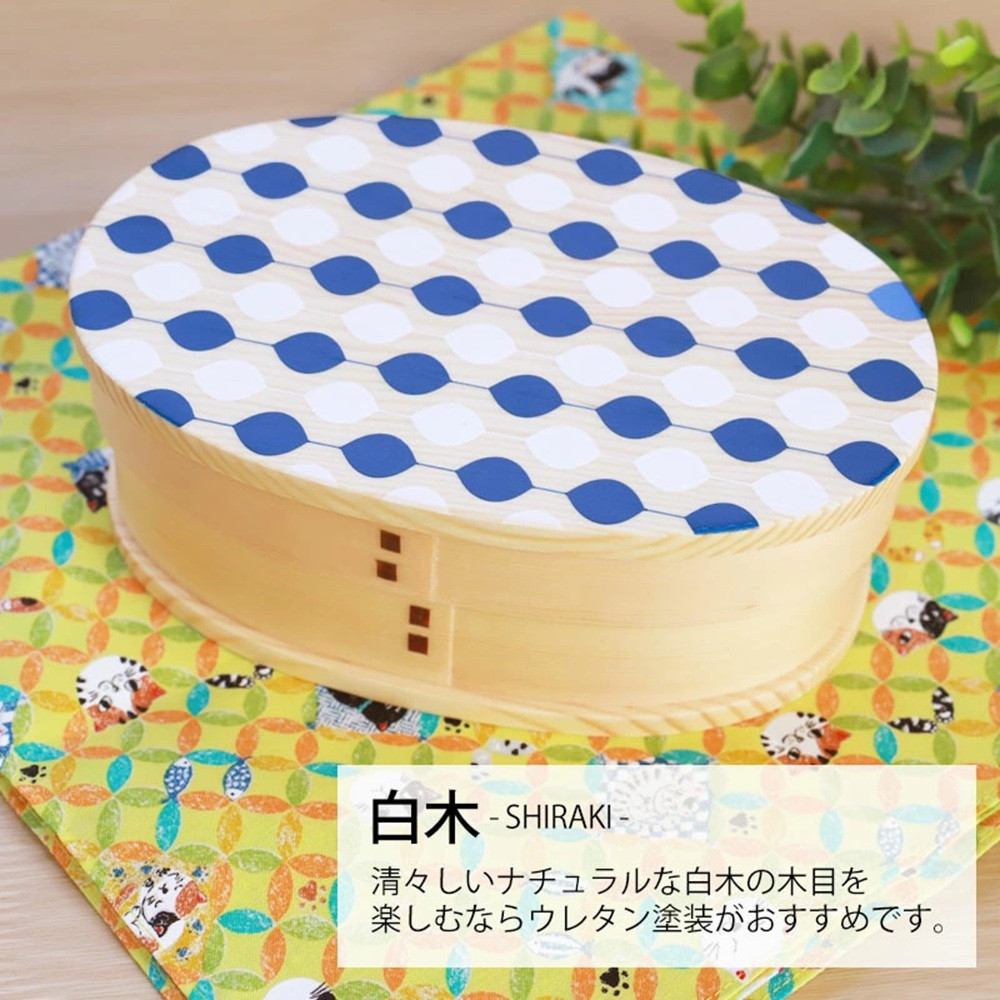 みよし漆器本舗 曲げわっぱ お弁当箱 600ml 約17.5×11.5×高さ6.5cm 小判型 弁当箱 一段 北欧 ドット 水玉 白木