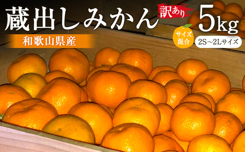 訳あり 蔵出しみかん 約5kg 2S～2Lサイズ混合