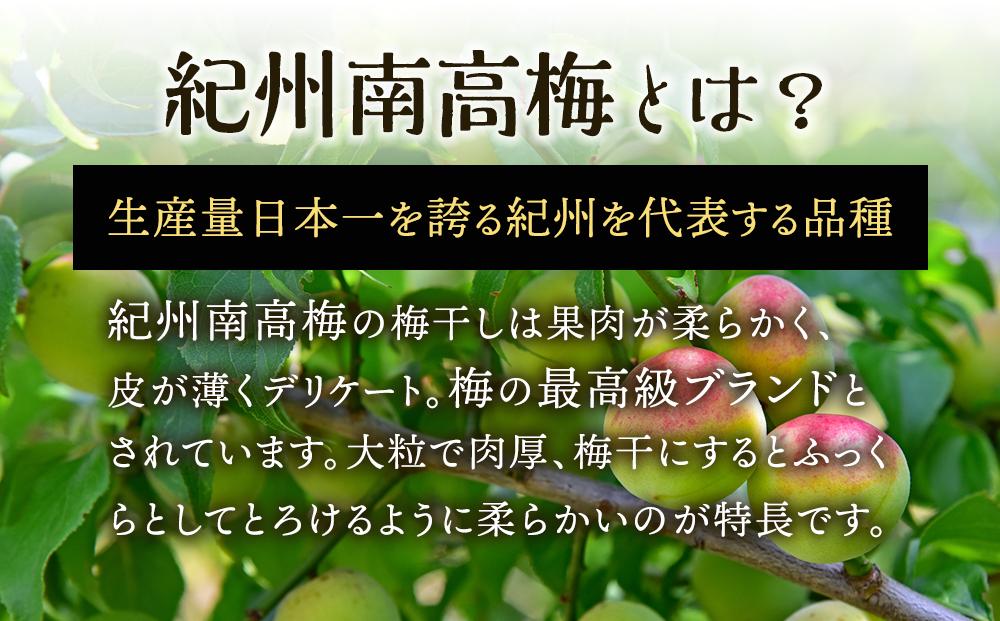 紀州南高梅使用 はちみつ うす塩味 完熟梅干し 無選別 1kg［TM144］