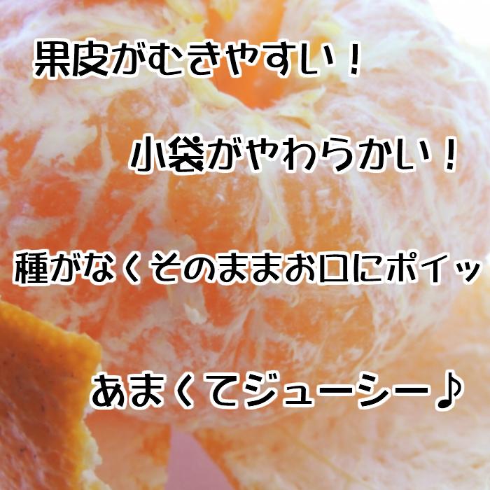 【秀品】和歌山有田のデコポン！約5kg【2027年1月下旬以降順次発送】【NGT2】