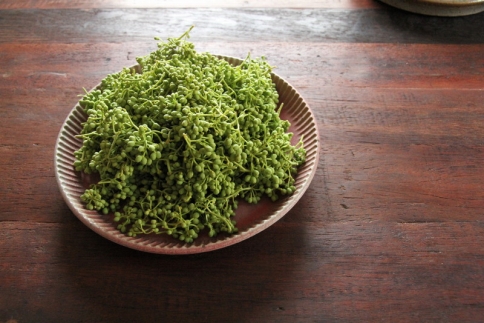 【熊野牛】赤身すき焼き・しゃぶしゃぶ 1kg (粉山椒付) 【SW52】