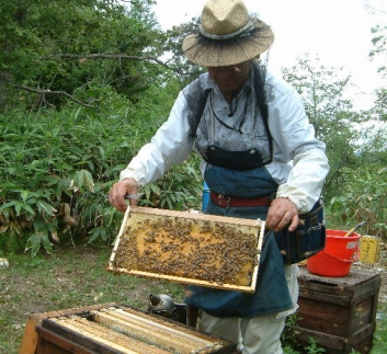 辭企主商驕 蟲縺ョ陷り惧 縲心W70縲