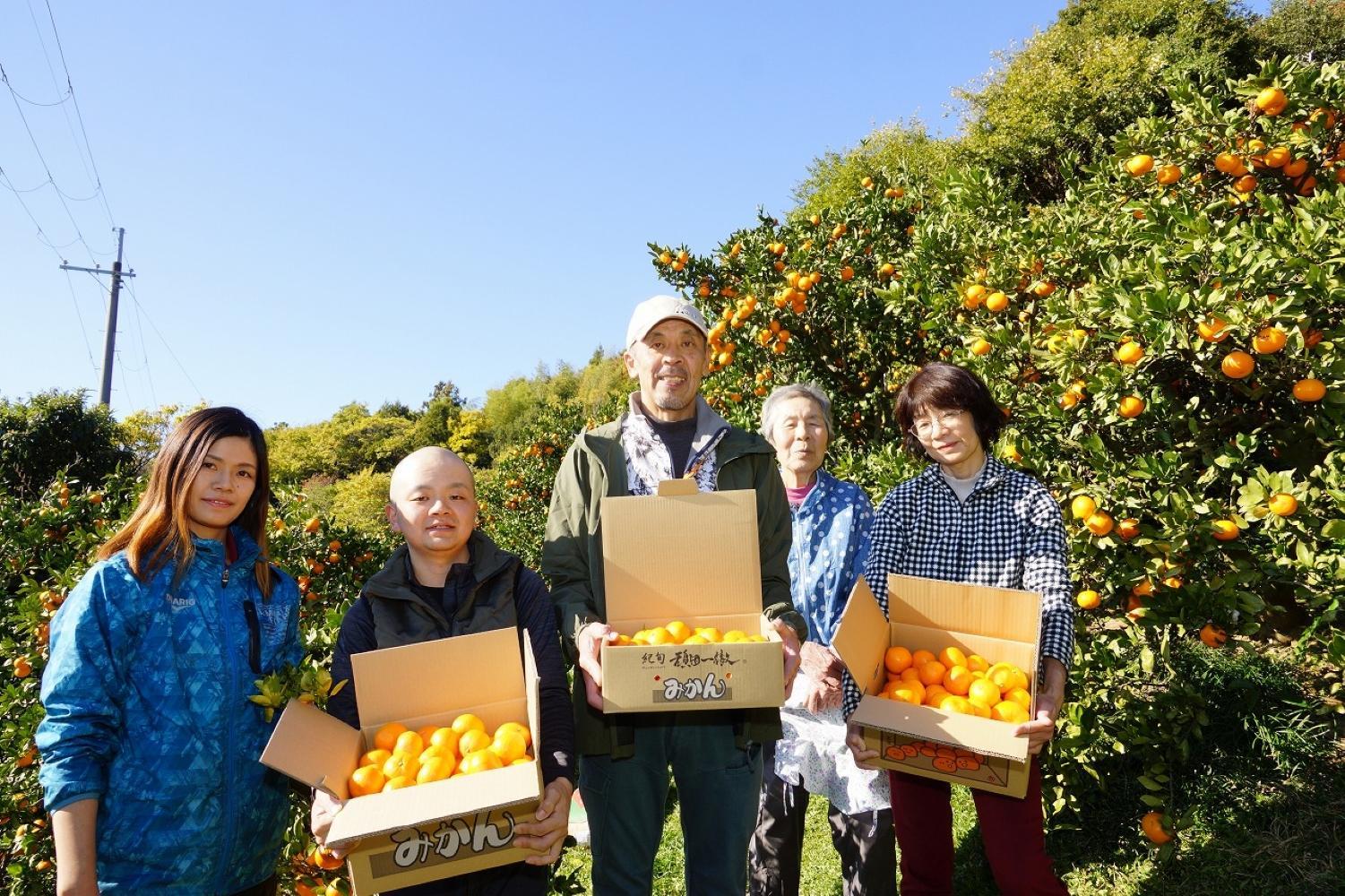 äžæŽ¥èµåºãã¿ãã çŽ3kg SSïœLãµã€ãºãããã å±±äžèŸ²å