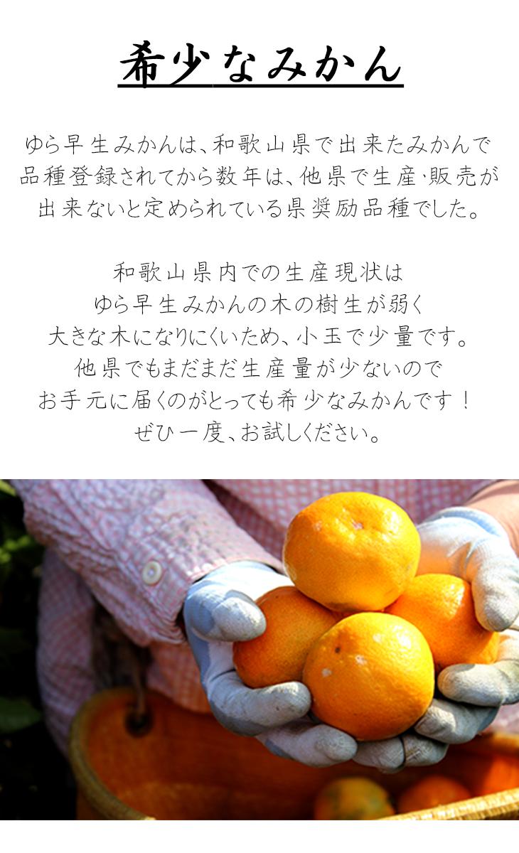 ãæ¥µæ©çã¿ãããããæ©çã¿ãã 6.5kg æ··åãµã€ãº(åæå±±ã»äžæŽ¥çºç£)ç£å°çŽéãèš³ããã Mg25