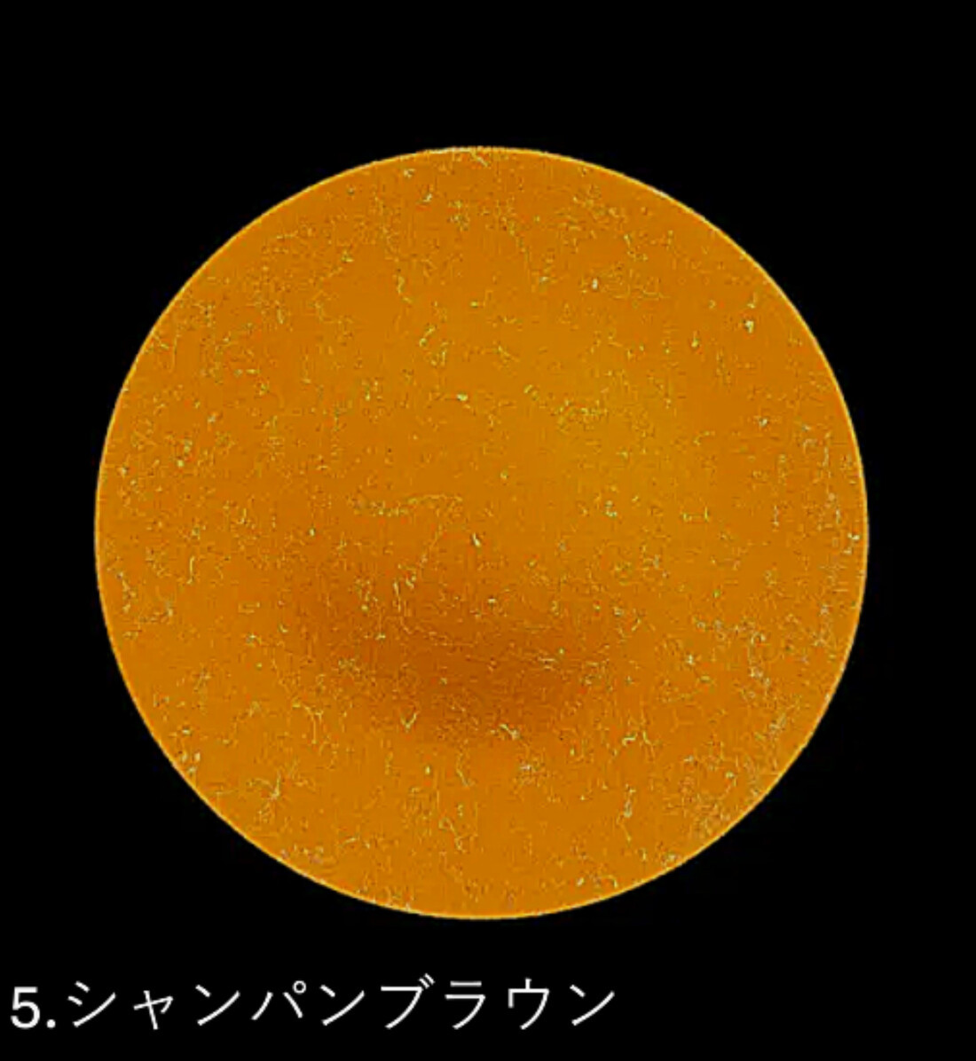 フラットプレート(D) 乱糸(マット仕上げ)シャンパンブラウン［NF112］