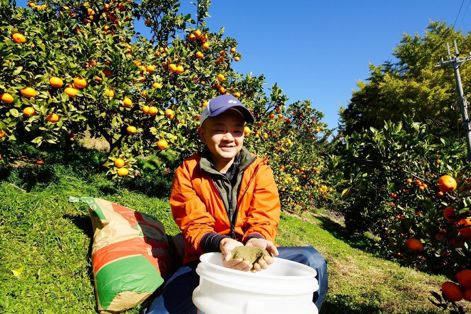 äžæŽ¥èµåºãã¿ãã çŽ3kg SSïœLãµã€ãºãããã å±±äžèŸ²å