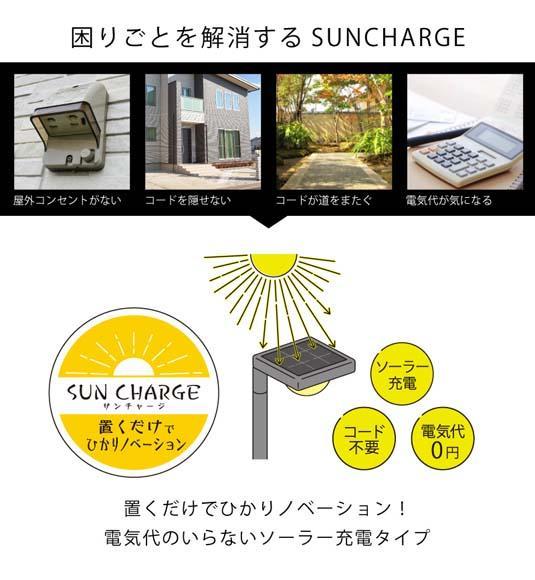 75694000 ã²ãããããŒã·ã§ã³ SUNCHARGE è±ã®ã²ãã