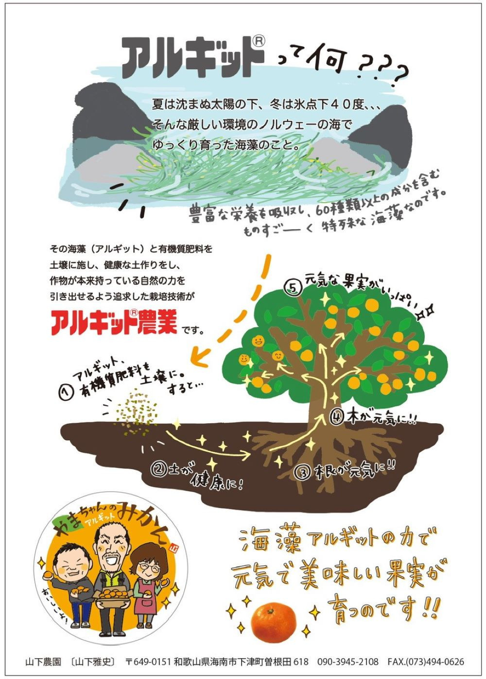 äžæŽ¥èµåºãã¿ãã çŽ5kg SSïœLãµã€ãºãããã å±±äžèŸ²å