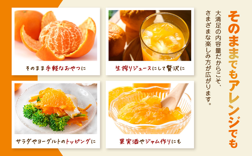 【訳あり】和歌山みかん 約9.5kg+補償分約500g サイズ混合 11月より順次発送 訳ありみかん 【red1】