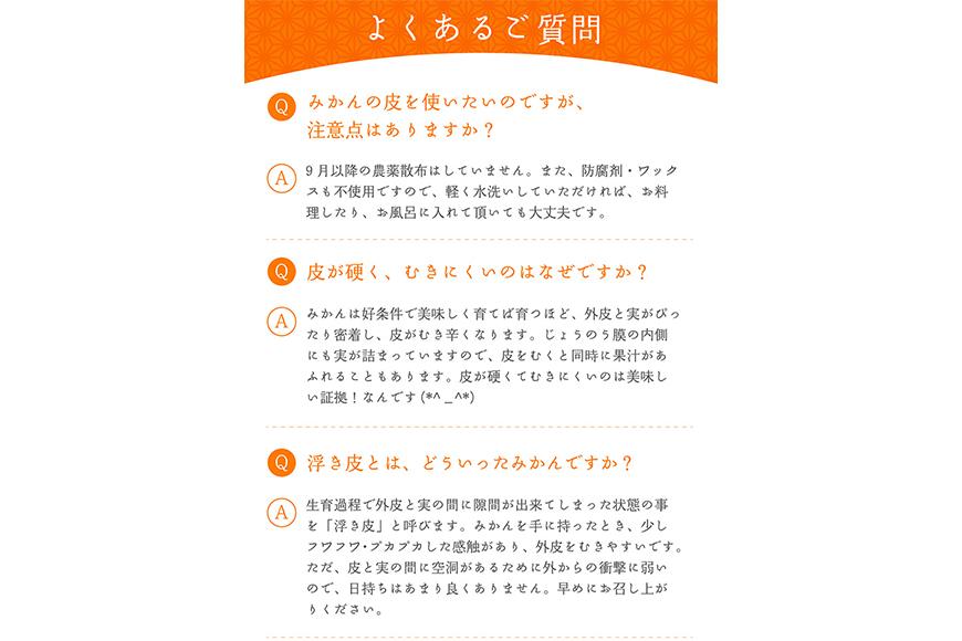 訳あり みかん 早生みかん 5kg 混合サイズ 和歌山県海南市鈴木農園より直送 みかん ミカン 蜜柑 mikan 温州みかん 海南みかん 下津みかん しもつみかん 温州みかん 訳アリ 訳あり品 訳有り わけありみかん